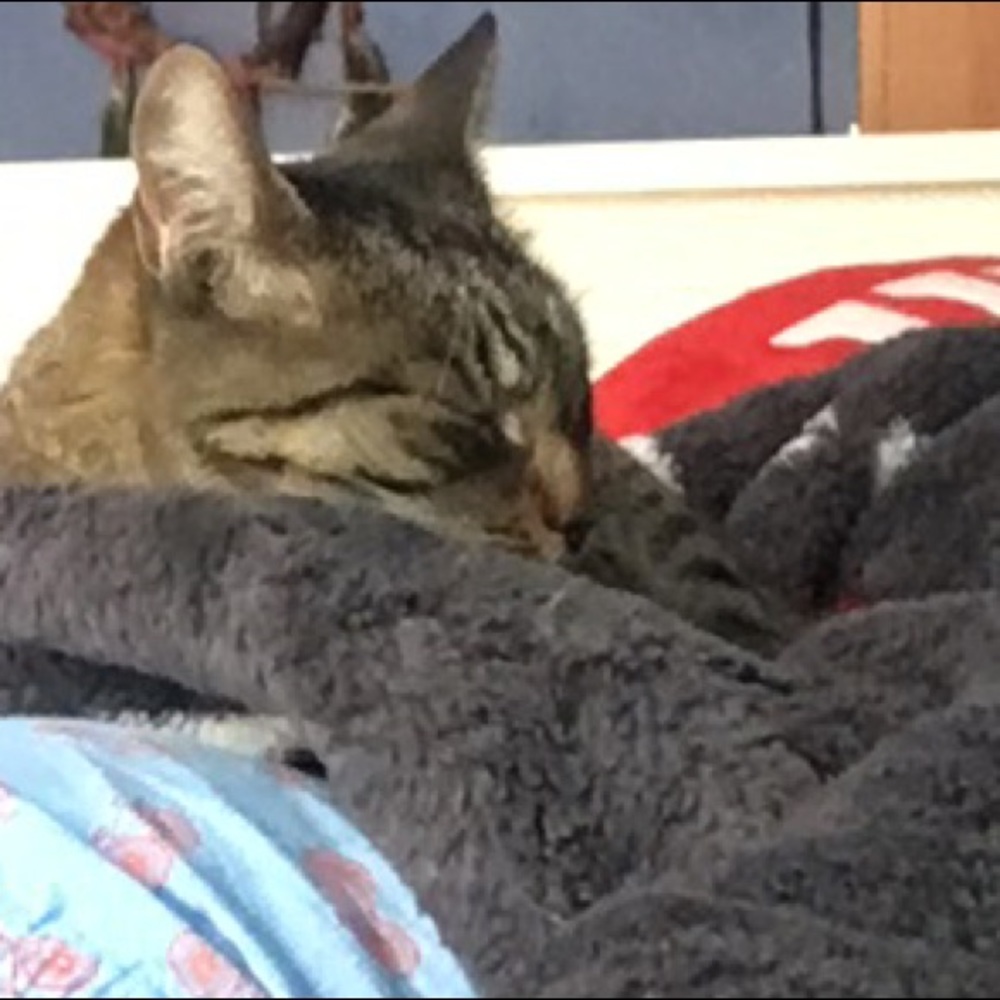 Meet your Posher, Michelle